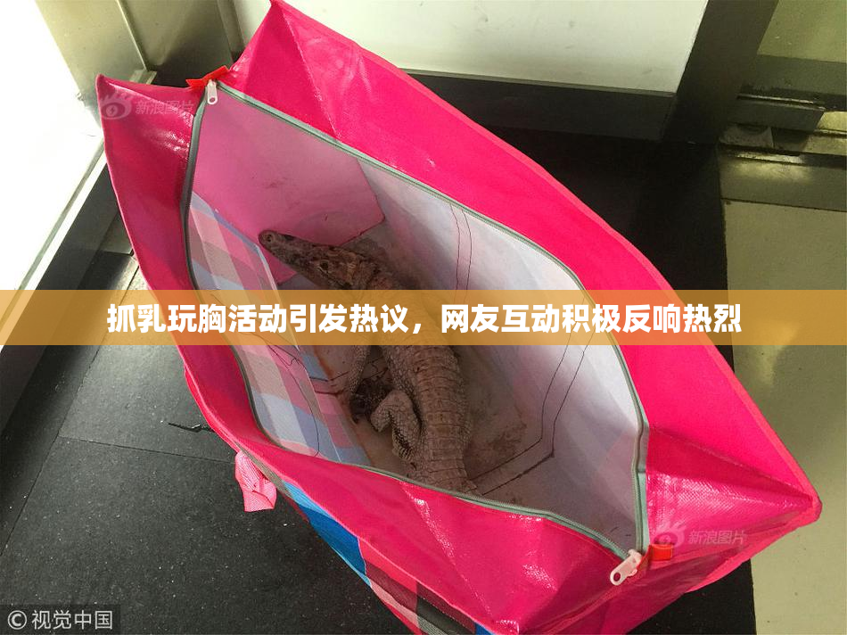 抓乳玩胸活动引发热议，网友互动积极反响热烈