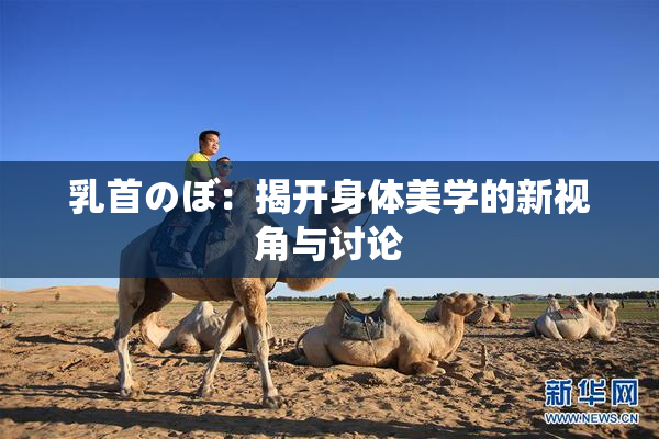 乳首のぼ：揭开身体美学的新视角与讨论