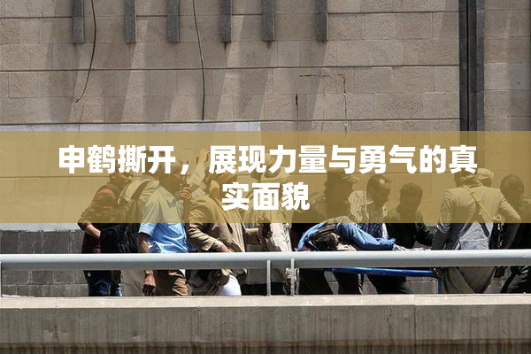 申鹤撕开，展现力量与勇气的真实面貌