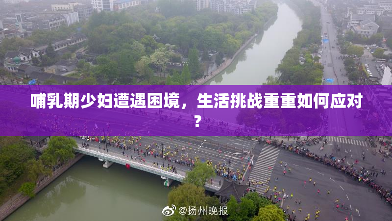 哺乳期少妇遭遇困境，生活挑战重重如何应对？