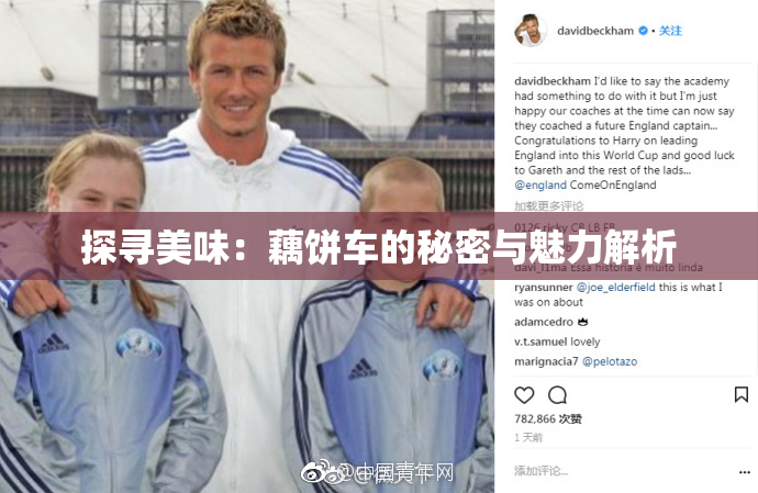 探寻美味：藕饼车的秘密与魅力解析