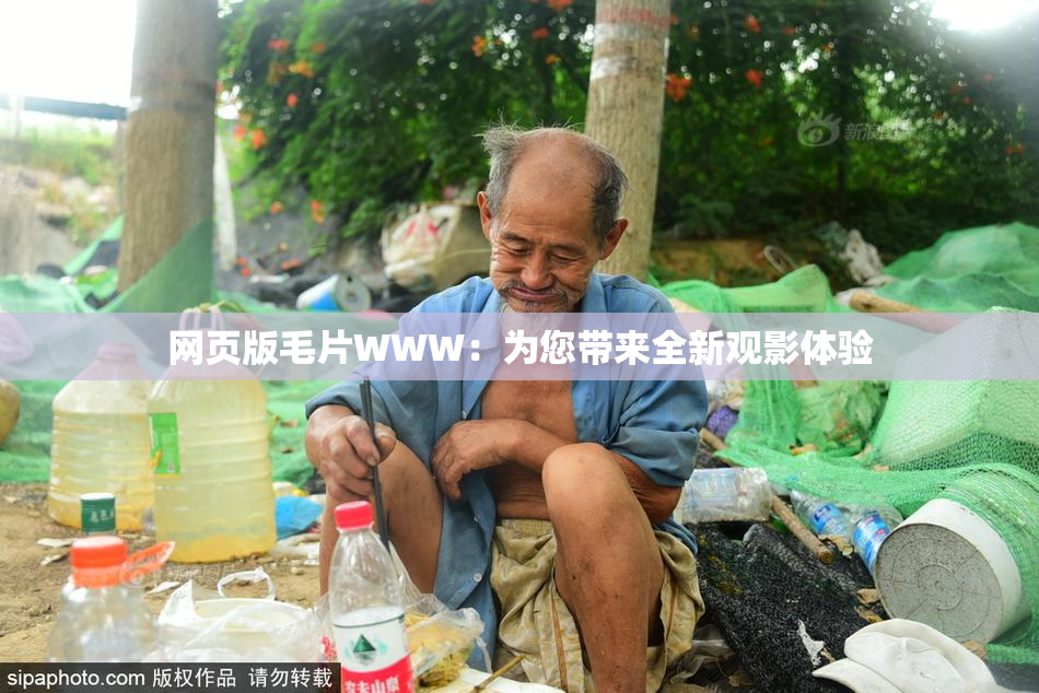 网页版毛片WWW：为您带来全新观影体验