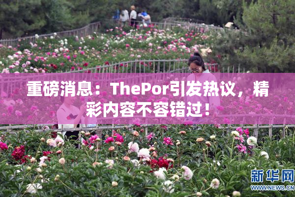 重磅消息：ThePor引发热议，精彩内容不容错过！