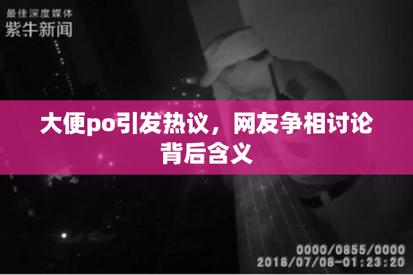 大便po引发热议，网友争相讨论背后含义