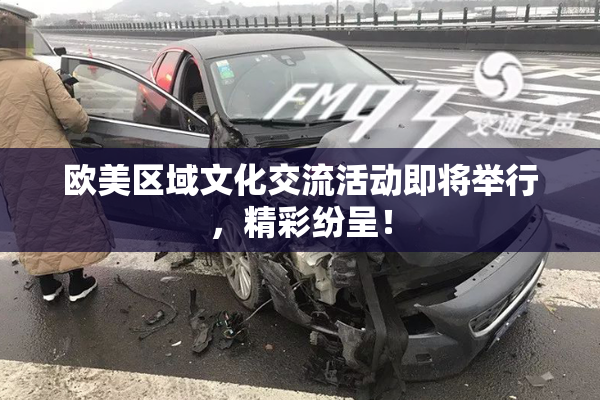 欧美区域文化交流活动即将举行，精彩纷呈！