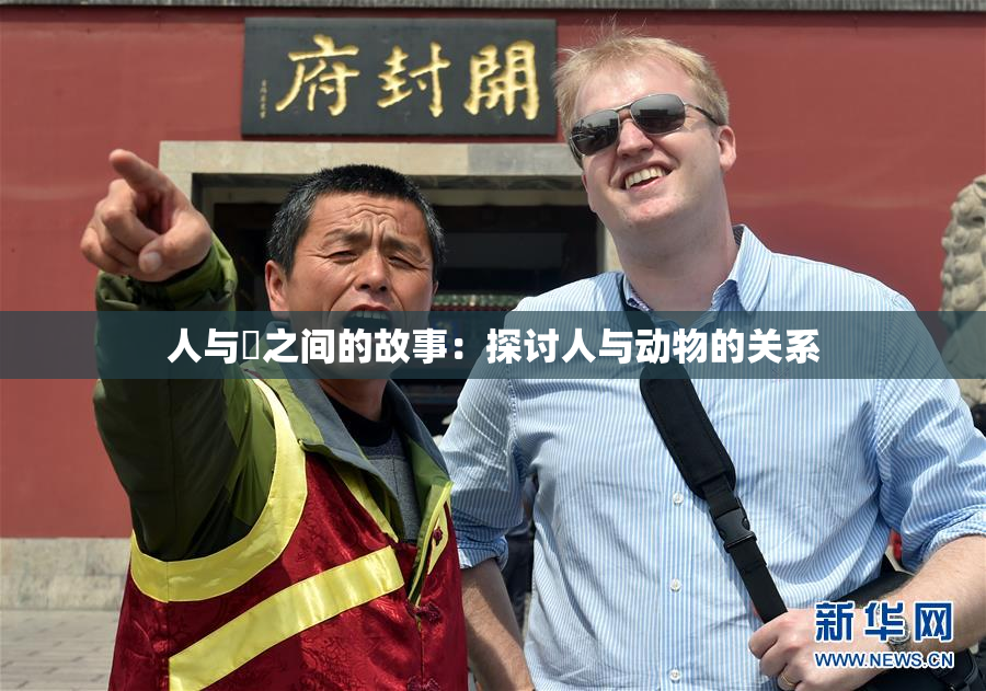 人与嘼之间的故事：探讨人与动物的关系