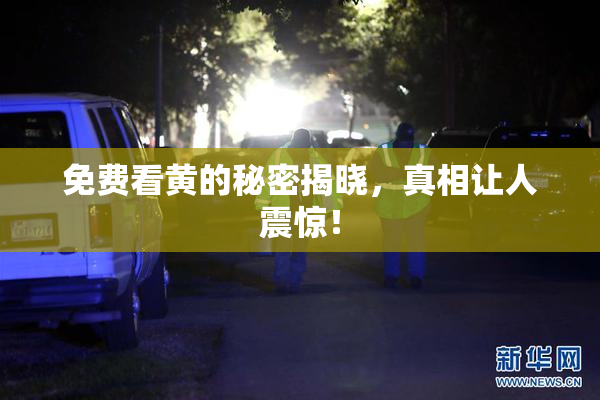 免费看黄的秘密揭晓，真相让人震惊！