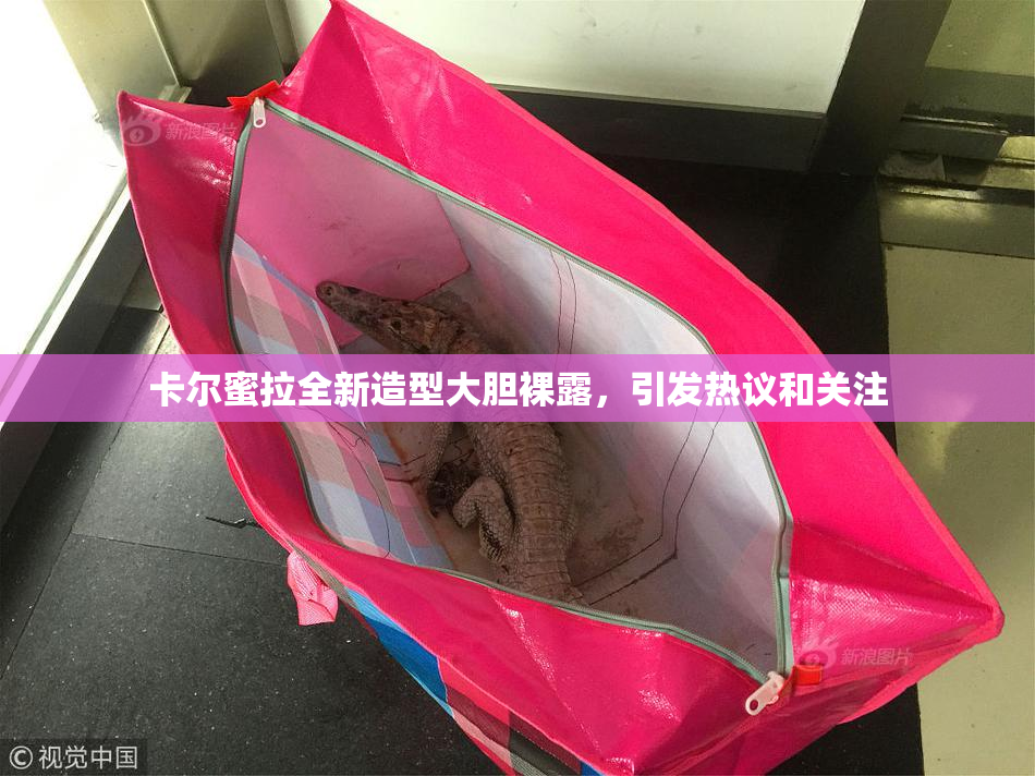 卡尔蜜拉全新造型大胆裸露，引发热议和关注