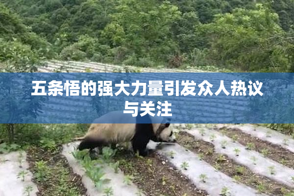 五条悟的强大力量引发众人热议与关注