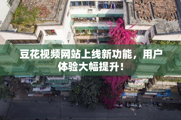 豆花视频网站上线新功能，用户体验大幅提升！