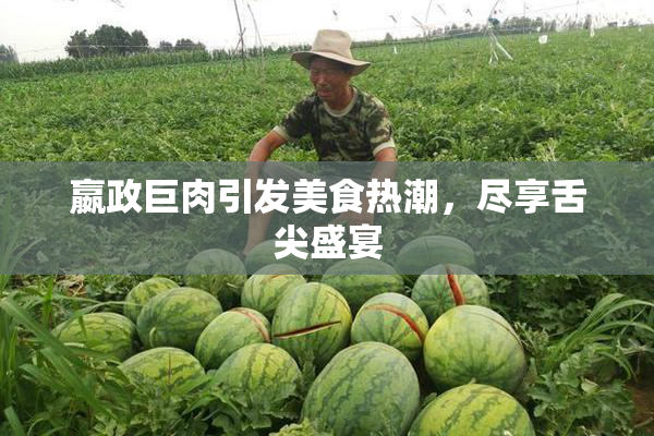嬴政巨肉引发美食热潮，尽享舌尖盛宴
