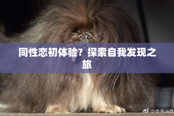 同性恋初体验？探索自我发现之旅
