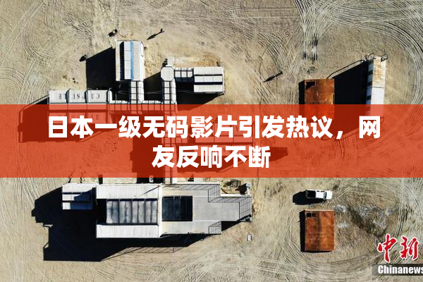 日本一级无码影片引发热议，网友反响不断