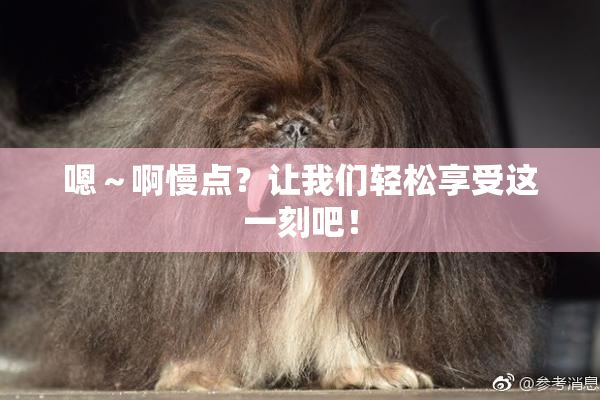 嗯～啊慢点？让我们轻松享受这一刻吧！