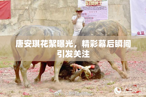 唐安琪花絮曝光，精彩幕后瞬间引发关注