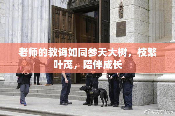 老师的教诲如同参天大树，枝繁叶茂，陪伴成长