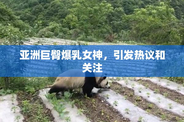 亚洲巨臀爆乳女神，引发热议和关注