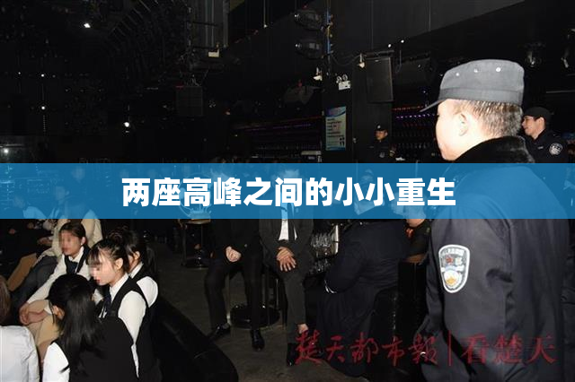 两座高峰之间的小小重生