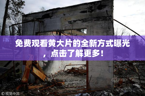 免费观看黄大片的全新方式曝光，点击了解更多！
