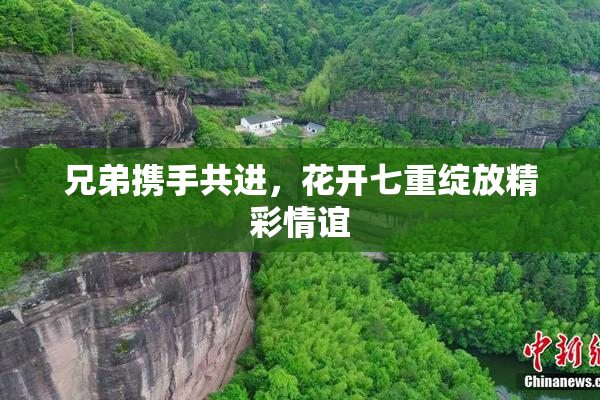 兄弟携手共进，花开七重绽放精彩情谊