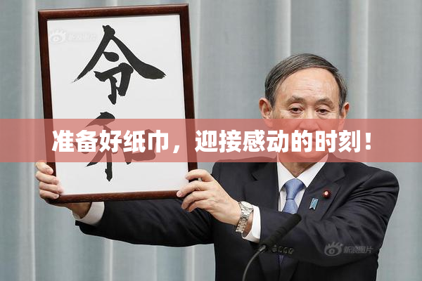 准备好纸巾，迎接感动的时刻！