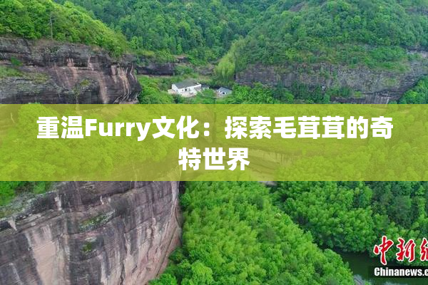重温Furry文化：探索毛茸茸的奇特世界