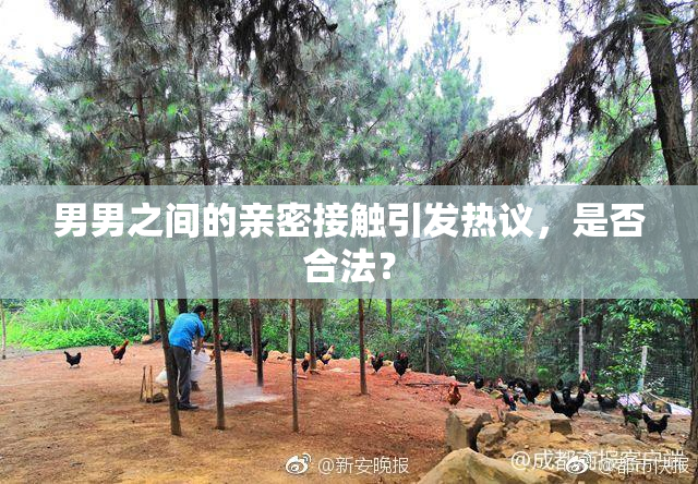 男男之间的亲密接触引发热议，是否合法？