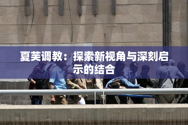 夏芙调教：探索新视角与深刻启示的结合