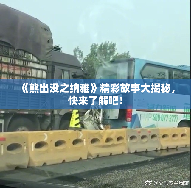 《熊出没之纳雅》精彩故事大揭秘，快来了解吧！
