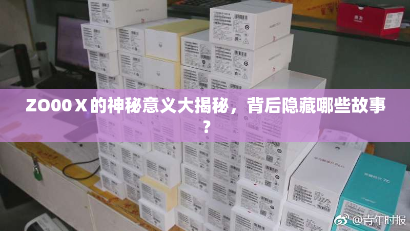 ZO00Ⅹ的神秘意义大揭秘，背后隐藏哪些故事？