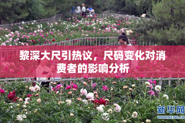 黎深大尺引热议，尺码变化对消费者的影响分析