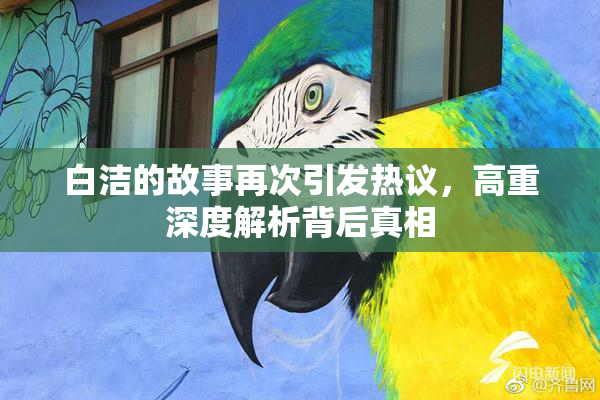 白洁的故事再次引发热议，高重深度解析背后真相