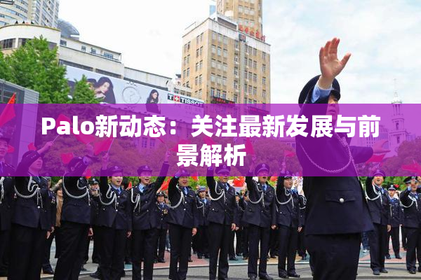 Palo新动态：关注最新发展与前景解析