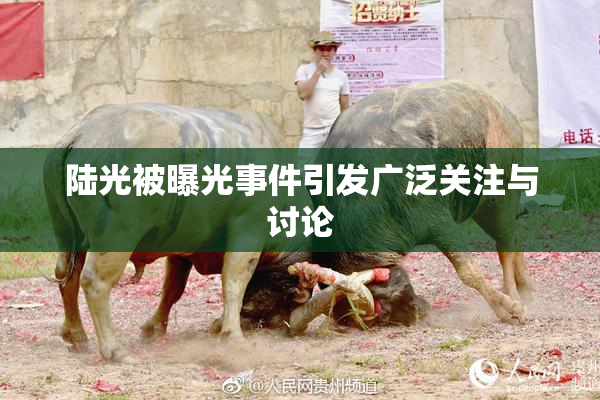 陆光被曝光事件引发广泛关注与讨论