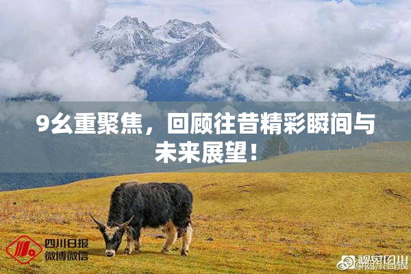 9幺重聚焦，回顾往昔精彩瞬间与未来展望！