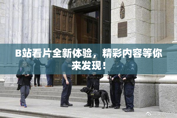 B站看片全新体验，精彩内容等你来发现！