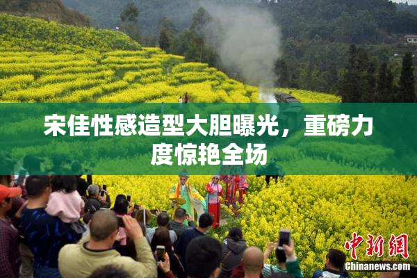 宋佳性感造型大胆曝光，重磅力度惊艳全场