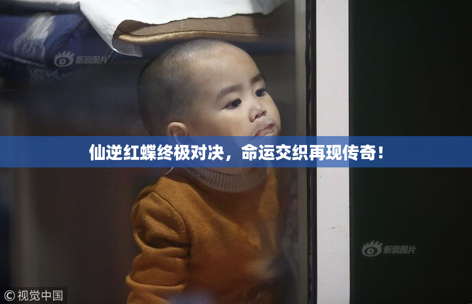 仙逆红蝶终极对决，命运交织再现传奇！