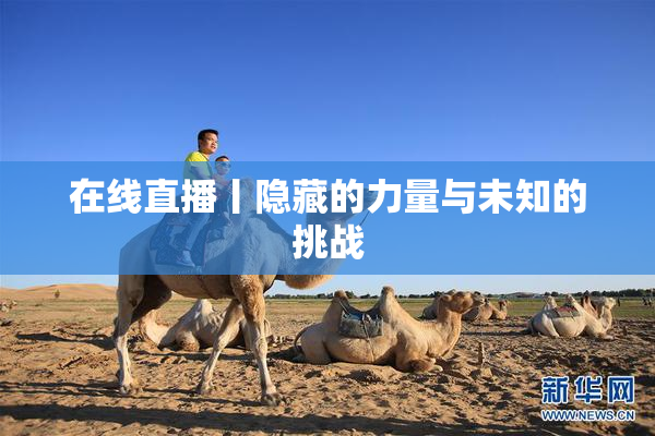 在线直播丨隐藏的力量与未知的挑战