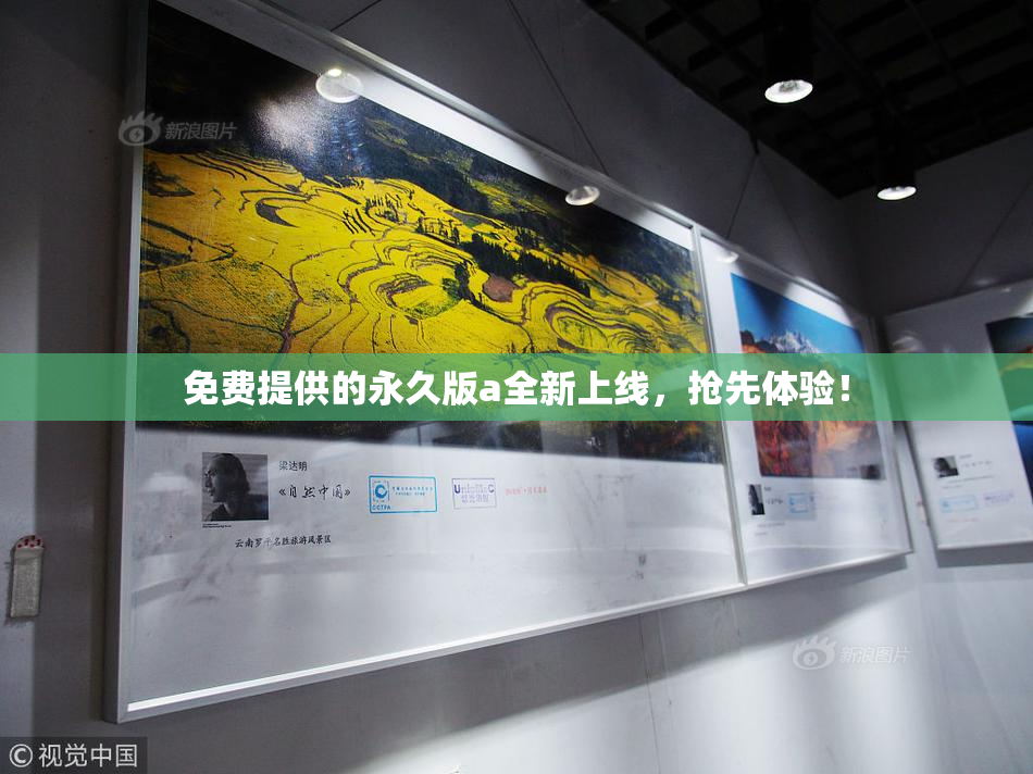 免费提供的永久版a全新上线，抢先体验！