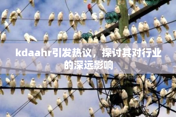 kdaahr引发热议，探讨其对行业的深远影响