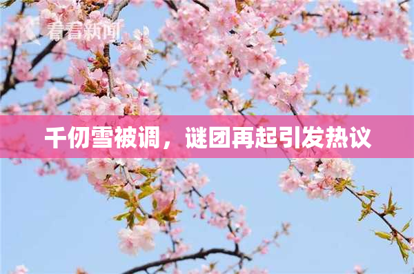 千仞雪被调，谜团再起引发热议