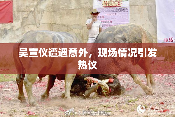 吴宣仪遭遇意外，现场情况引发热议