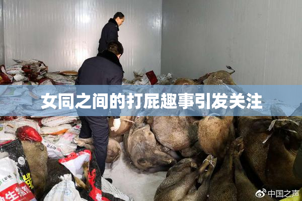 女同之间的打屁趣事引发关注