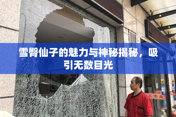 雪臀仙子的魅力与神秘揭秘，吸引无数目光