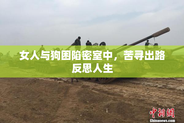 女人与狗困陷密室中，苦寻出路反思人生