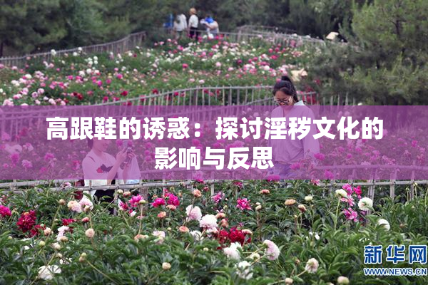 高跟鞋的诱惑：探讨淫秽文化的影响与反思