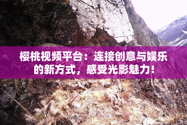 樱桃视频平台：连接创意与娱乐的新方式，感受光影魅力！
