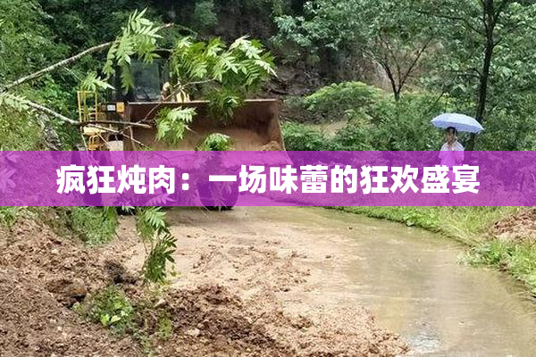 疯狂炖肉：一场味蕾的狂欢盛宴
