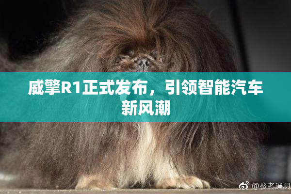 威擎R1正式发布，引领智能汽车新风潮